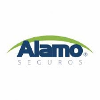 Alamo Seguros Agente de ventas comisionista