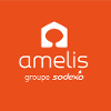 Amelis Services Chargé(e) de Planning H/F