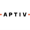 Aptiv plc Regional Account Manager VW (f/w/d)