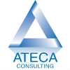 Ateca Consulting Director Private Banking