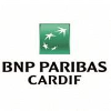 BNP Paribas Cardif AGENT BACK OFFICE SUCCESSIONS - M/F - Lisbonne - CDI - Hybride - BNP Paribas