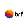 BRF Specialist Project Electrical Engineer