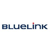 BlueLink International CZ Airline Customer Success Advisor with Dutch