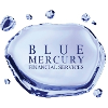 Blue Mercury Financial Services Team Leader/Trainer