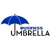 Business Umbrella GIS Developer