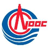 CNOOC International Surface Land Analyst