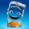 Capri Sun AG Finance Manager Poland