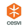 Cesvi job listing