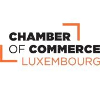 Chambre de Commerce Project Coordinator