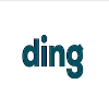 Ding Senior Network Engineer