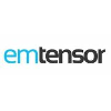 EMTensor GmbH Senior Scientist, Electromagnetic Tomography Vienna, Austria