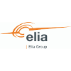 Elia Grid International International Business Controller