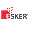 Esker France Indirect Sales Manager