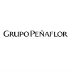 Grupo Peñaflor job listing