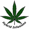 Hybrid Infusions Winter Internship - Cannabis Cultivation