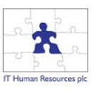 IT Human Resources SAP PM Functional Consultant