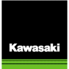 KAWASAKI MOTORES DE MEXICO Supervisor de Produccion