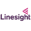 Linesight Senior Project Risk & Change Manager