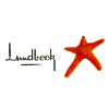 Lundbeck Senior Project and Delivery Manager