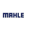 MAHLE Training and Development Manager