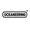 Oceaneering Finance Project Analyst