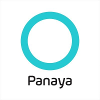 Panaya Salesforce Analyst