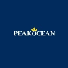 Peak Ocean Pte Ltd Lead Software Engineer