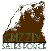 Sales Force Consulting Managing Director