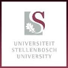 Stellenbosch University Lecturer: School of Accountancy