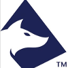 Surefox North America Inc Senior Resilience Officer