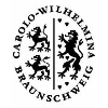 Technische Universität Braunschweig W3 Professorship for Collective phenomena in quantum physics