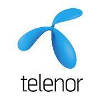 Telenor Group Director of Sales, Partnership, and Business Development