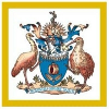 The Royal Australasian College of Physicians Case Officer, Overseas Trained Physicians NZ