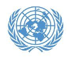 United Nations Intern, Legal Affairs