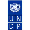 United Nations Development Programme (UNDP) Innovation Intern