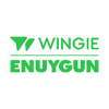 Wingie Enuygun Group Senior Data Scientist